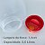 Jarra Plástica Sanremo 2,5 Lts Garrafa Água Suco Cabe Porta Geladeira - Imagem 6