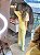 Conjunto Cloe Amarelo - Imagem 2
