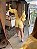 Conjunto Linho Aviamento Lucy Amarelo - Imagem 2