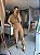 Conjunto Cargo Liocel Dalia Caqui - Imagem 6