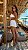 Conjunto Paros - Imagem 4