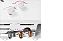 Aquecedor De Água A Gás Lorenzetti  Lz 800ef Glp 7412099 - Imagem 2