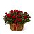 BASKET OF RED ROSES - Imagem 1