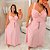Conjunto Saia Longa Teresa Rosa Plus Size - Imagem 4