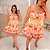 Vestido Curto Jeni Floral Rosa Plus Size - Imagem 2