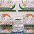 Mirex-S2 500g Sulfluramida - Isca para Formiga cortadeiras Saúva limão, Saúva Mata Pasto, Quenquéns, - Imagem 1