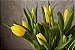Cortador Folha da Tulipa - Imagem 2