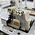 Máquina de Costura Industrial Overloque Jack JK798-3 [USADA] - Imagem 1