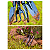 Pazinha Jardim Larga Pá Jardinagem Ferramenta 4 Pç Paraboni - Imagem 2