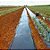 Mulching para canteiros Preto / Preto 18 micras - Imagem 1