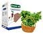 Espuma Fenólica Green-up - Imagem 1