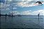 Expedição SUP e Caiaque - Ilha do Francês - Imagem 4