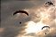 Parapente - Vôo Duplo - Imagem 5