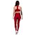 Calça Legging Fitness Longa Feminino ROMA Recorte Lateral Vermelho Escuro - Imagem 3