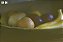 Filme 35mm - Kodak Pro Image 100 - ISO 12 a 25 - Vencido 2013 - 36 poses - Imagem 6