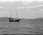 Filme 35mm - Fomapan Action ISO 400 - Rebobinado - 30 poses - Novo - PB - Imagem 9