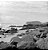 Filme 120 - Fomapan Classic 100 - 2024 - PB - Imagem 4