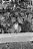 Filme 35mm -  Kodak Eastman Double X - ISO 200/250 - 30 poses - 2026 - PB - Imagem 4