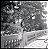 Filme 120 - Ilford PanF Plus - ISO 50 - 2013 - Imagem 9