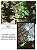 Filme 35mm - 25D Singapura - 36 poses - ISO 12 ou 25 - SEM DX - Imagem 8