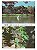 Filme 35mm - 25D Singapura - 36 poses - ISO 12 ou 25 - SEM DX - Imagem 6