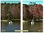 Filme 35mm - 12D Hellas - 30 poses - ISO 12 ou 25 - SEM DX - Imagem 3