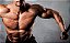 Ganho de Massa Muscular - Imagem 1