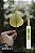 HOME SPRAY AROMACI | 50ML | FLORESTA DOS SENTIDOS - Imagem 3