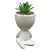 4 Vasinhos Para Suculentas Vasos Robert Plant Bob - Imagem 2