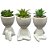 4 Vasinhos Para Suculentas Vasos Robert Plant Bob - Imagem 1