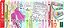 Marca Texto Stabilo Swing Cool Fashion Edition 18 cores - Imagem 3