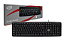 TECLADO STANDARD TC310 - Imagem 4
