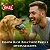 Espuma Bucal Ibasa Cuidado Oral Para Cães e Gatos Spray - Imagem 4