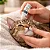 Colírio UCB para Cães e Gatos 15ml - Imagem 3