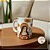 Caneca Personalizada Santa Hildegarda - Modelo Inspiração Divina - Imagem 1