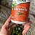 Chlorella 500mg 200 tabs Now Foods - Imagem 4