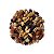 Mix de Nuts - Imagem 2