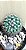 30 sementes de mammillaria mammillaris + manual para plantio - Imagem 2