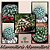 30 sementes de mammillaria mammillaris + manual para plantio - Imagem 1