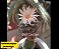 20 Sementes de Cactos Turbinicarpus Híbrido | Mix Exclusivo, Plantio Fácil, Fotos das Matrizes - Imagem 9