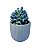 Suculenta no vaso - Imagem 1