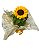 Girassol - Imagem 1