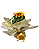 Girassol - Imagem 2