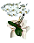 Orquídea branca - Imagem 2