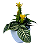 Aphelandra squarrosa no vaso - Imagem 1