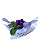 Violeta - Imagem 2