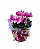 Cesta Ciclame Rosa - Imagem 1