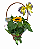 Cesta com Girassol - Imagem 1