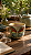 caneca borboleta - Imagem 1