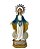 Imagem N Senhora das Graças Resplendor Resina Importada 22cm - Imagem 1